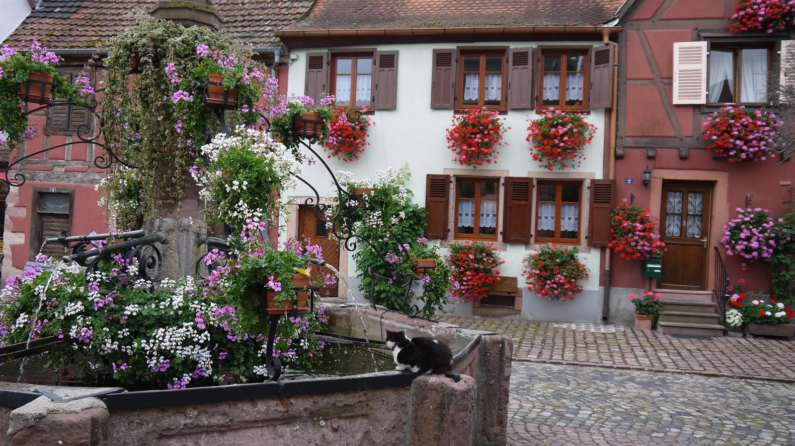 Coté Place