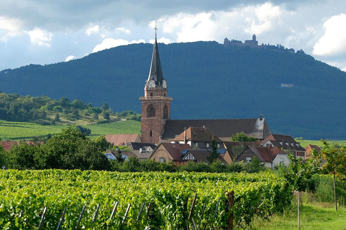 Bergheim