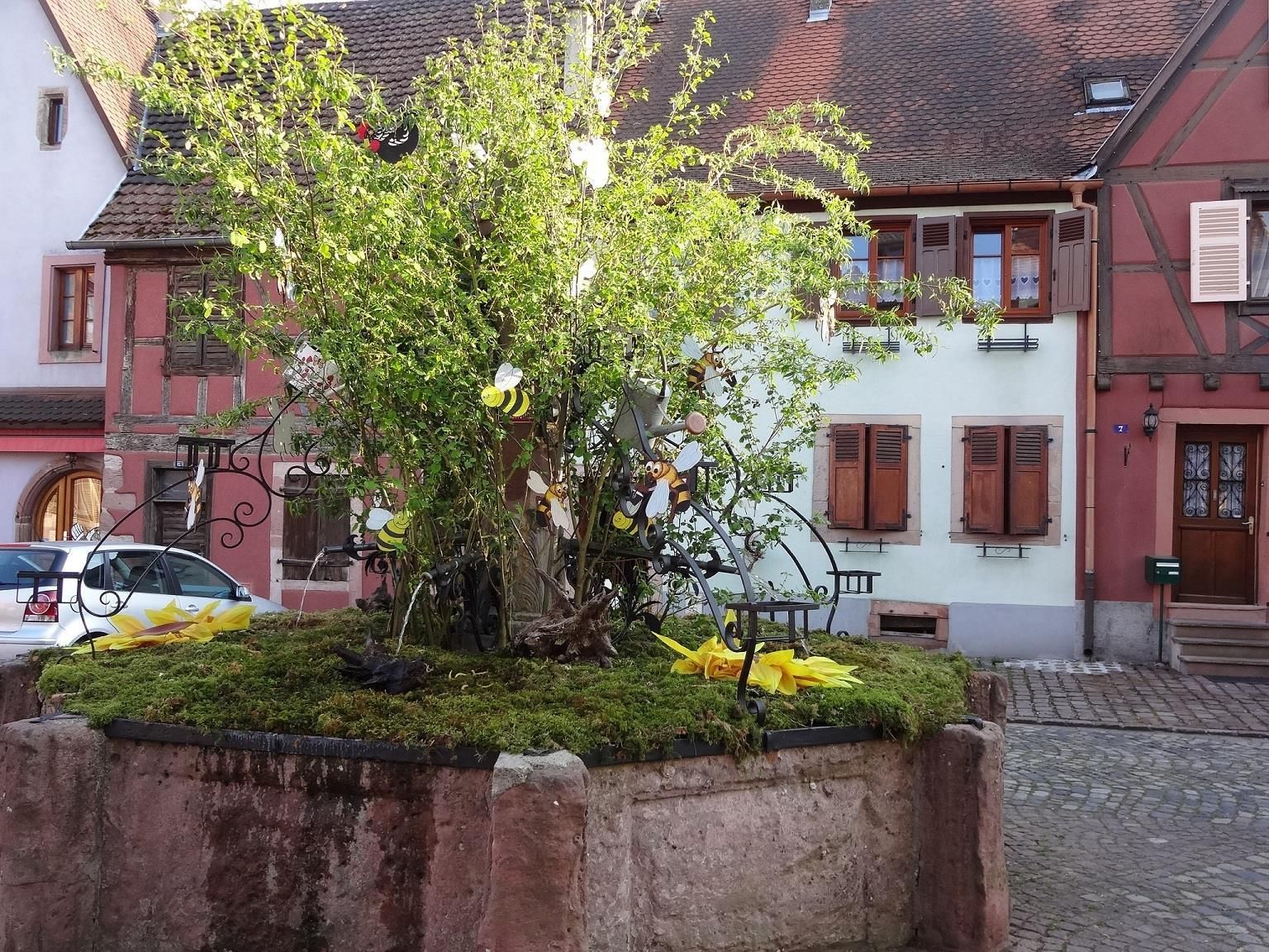 DSC00424 - 01