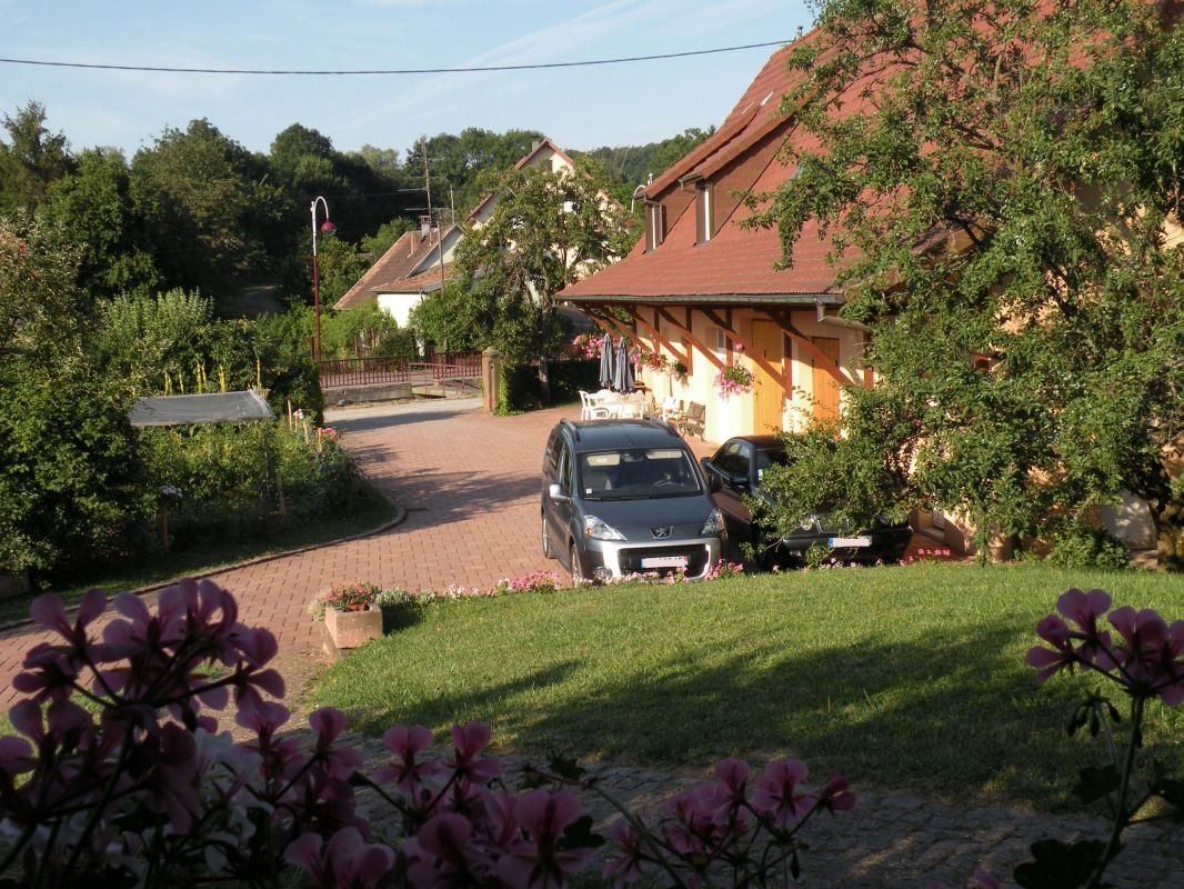 Photo_1