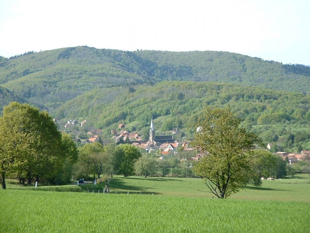 Photo_3