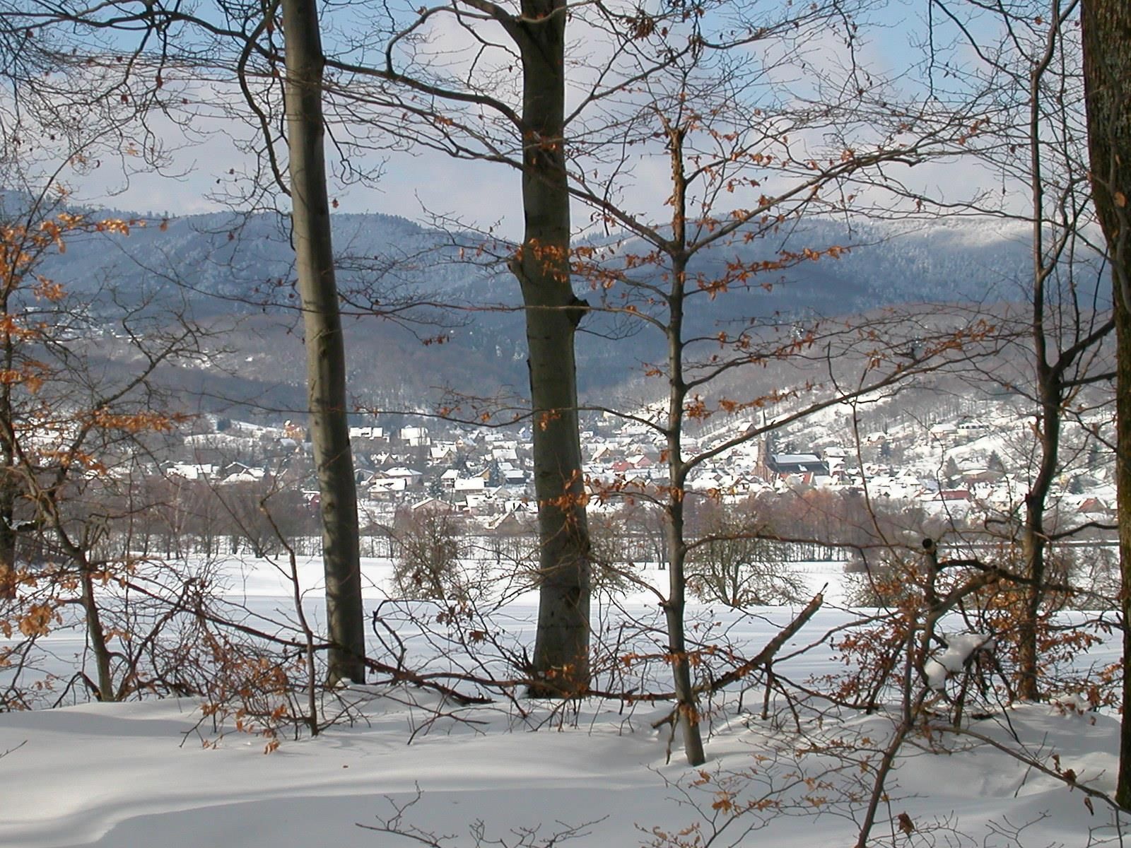 DSCN3840