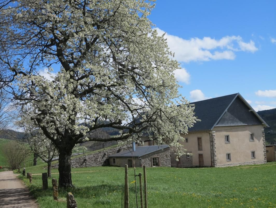 la_ferme_des_cerisiers