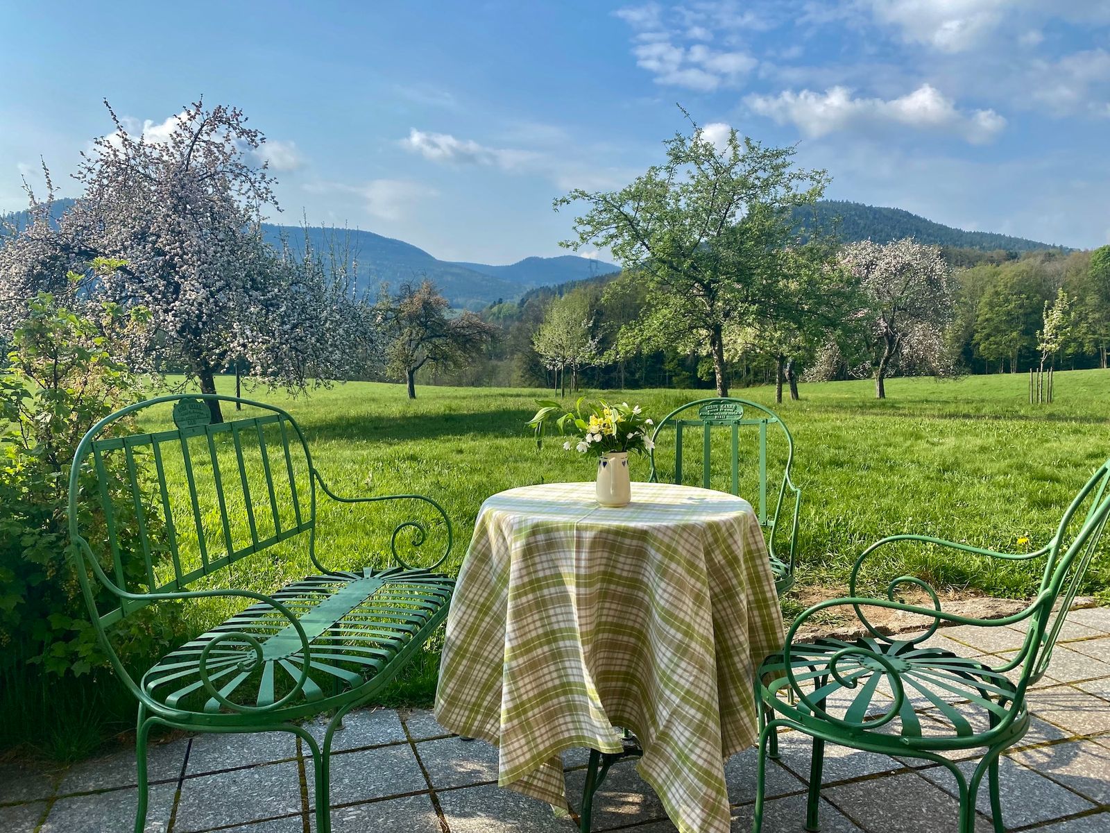 Terrasse verger en fleurs