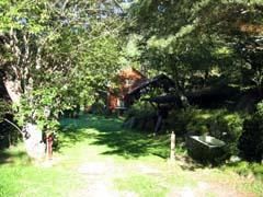 Photo_1