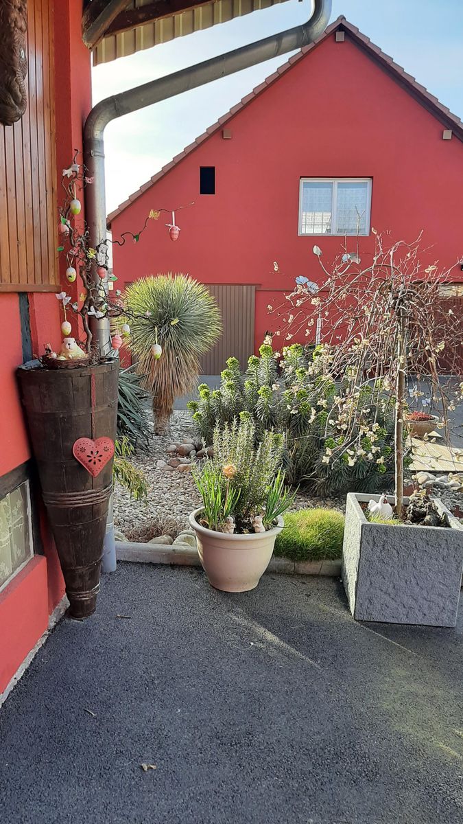 vue sur le jardin à Pâques