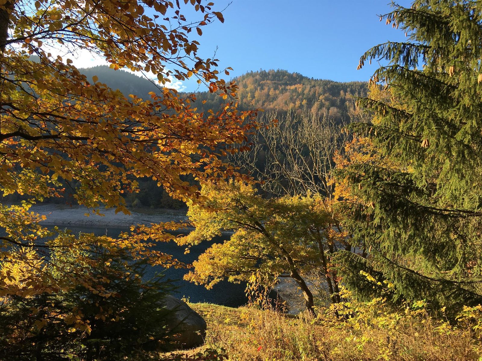 lac de wildenstein