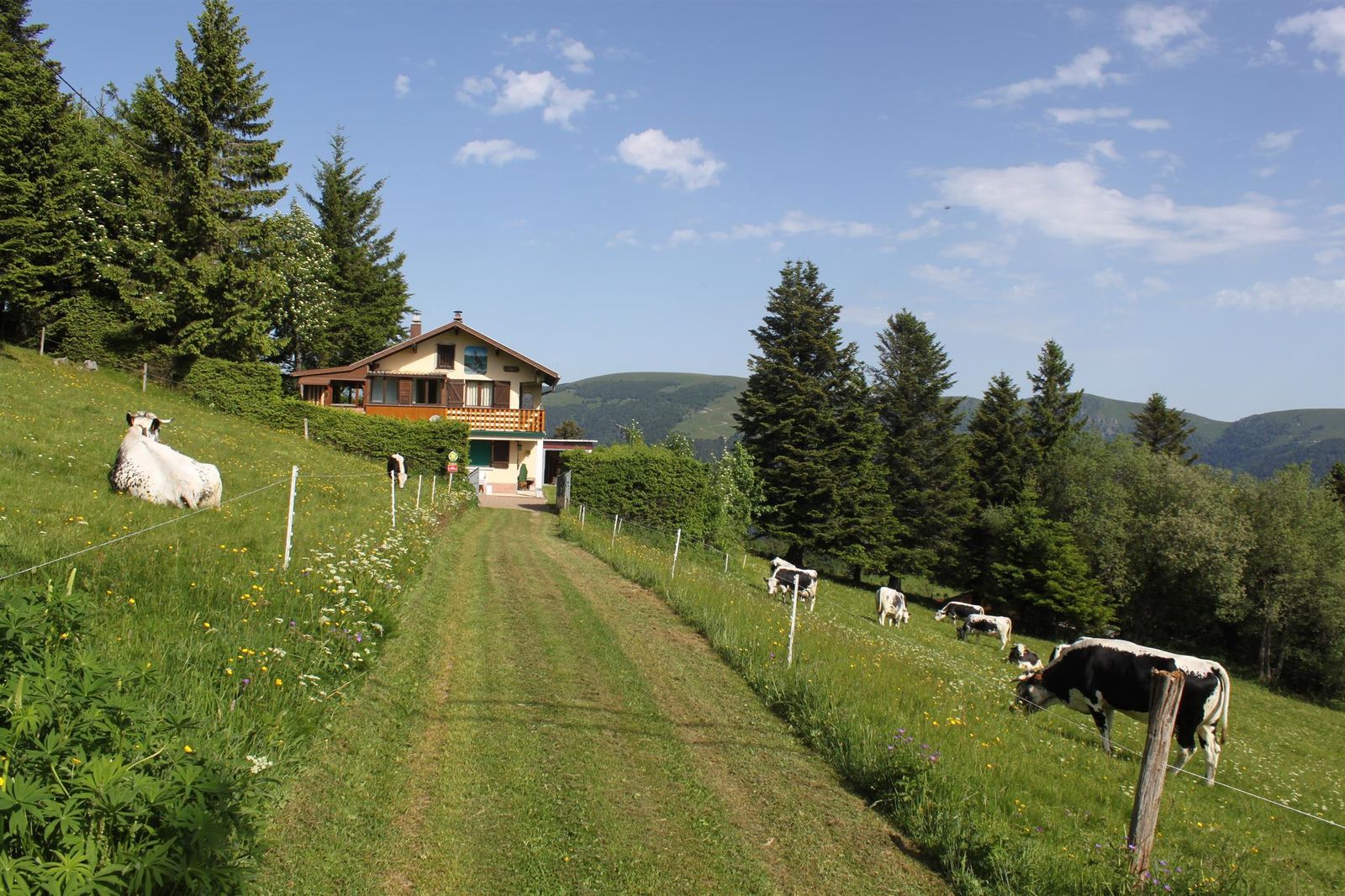 Le chalet en été