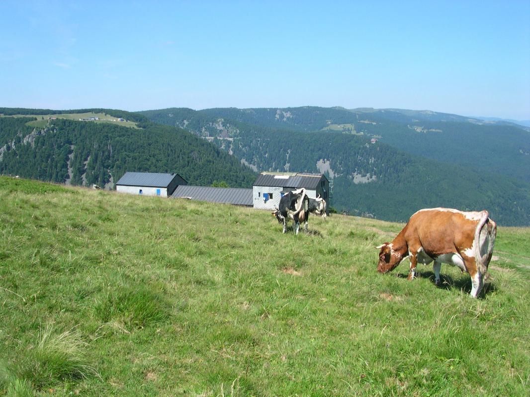 Les randonnées