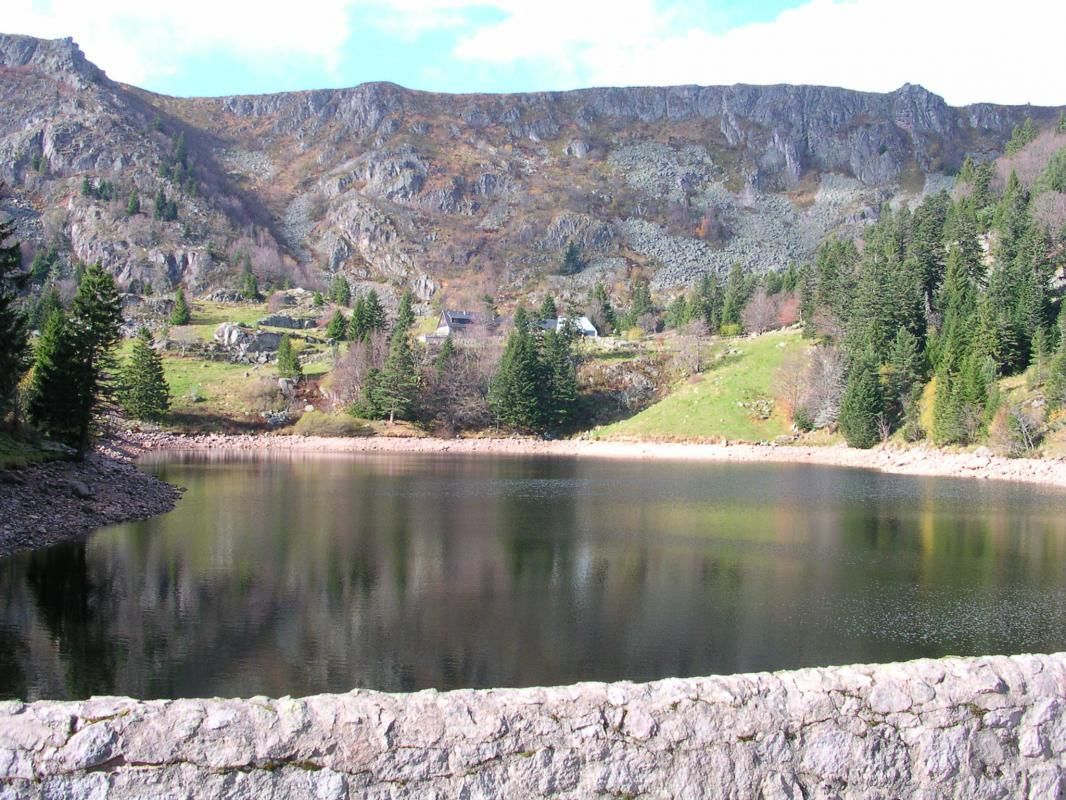 Chalet LES FOUGERES_5