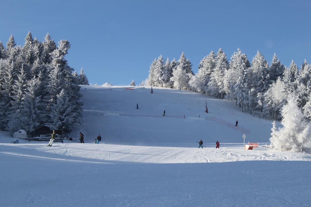 Chalet LES FOUGERES_11