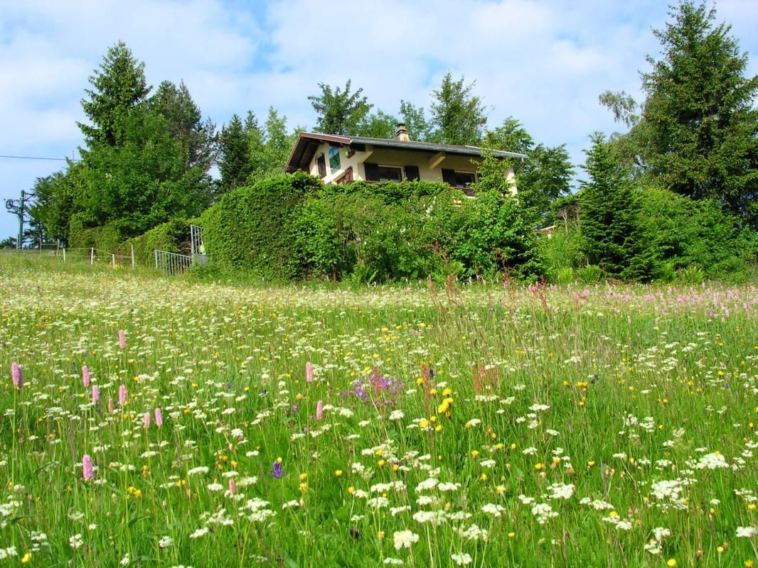 Chalet LES FOUGERES_22