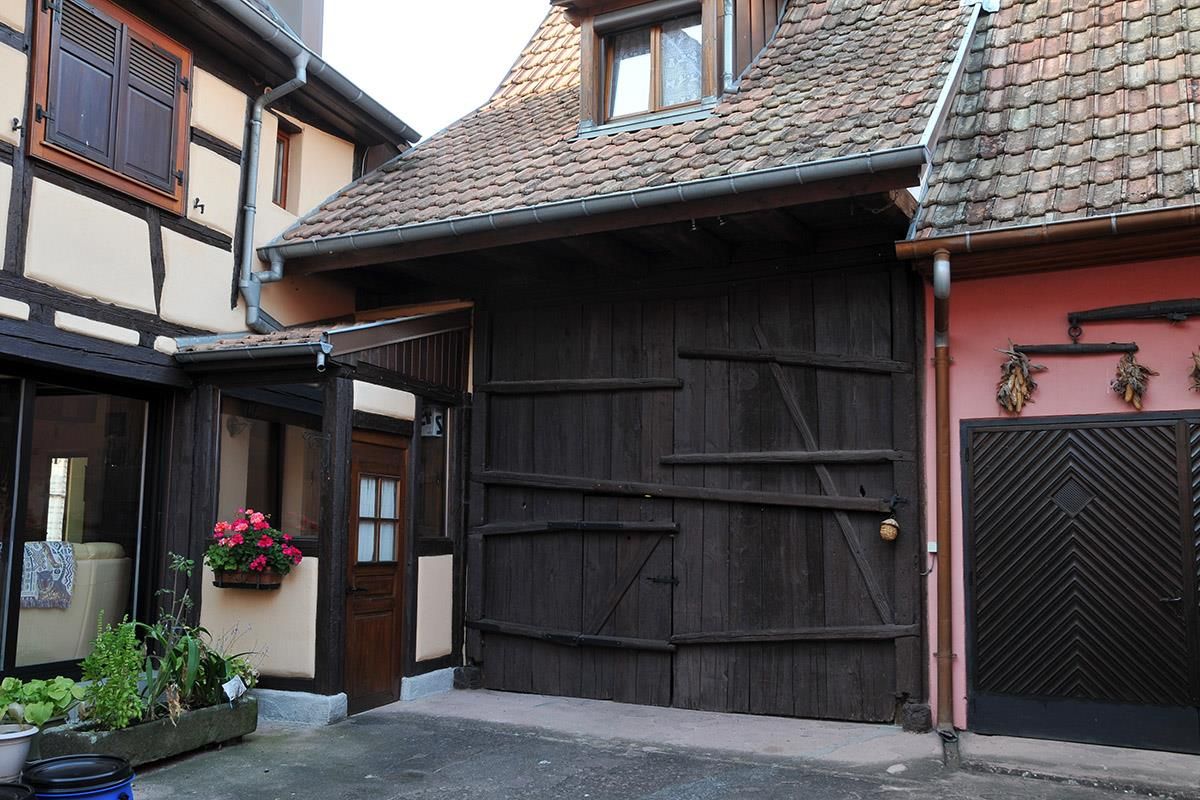 Chien assis gîte