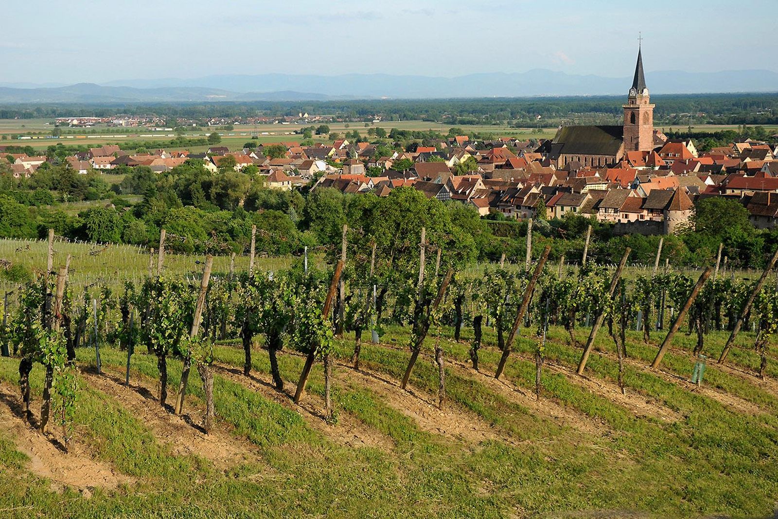 Bergheim
