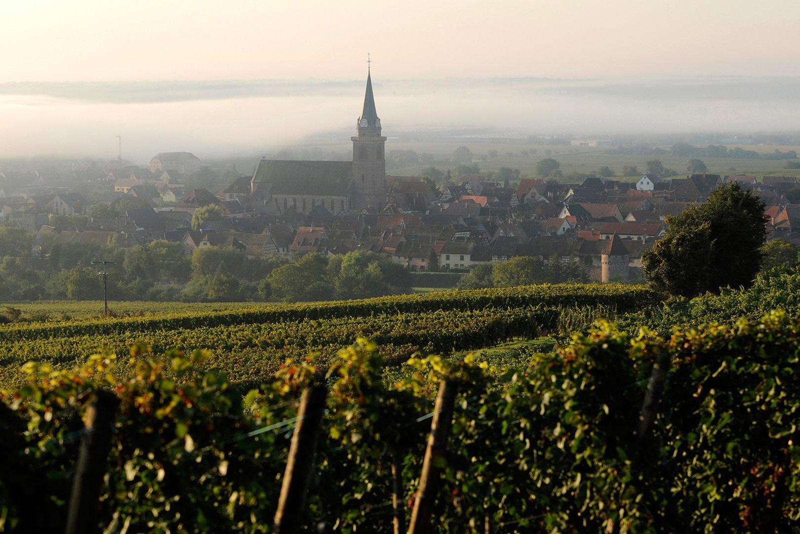 Bergheim