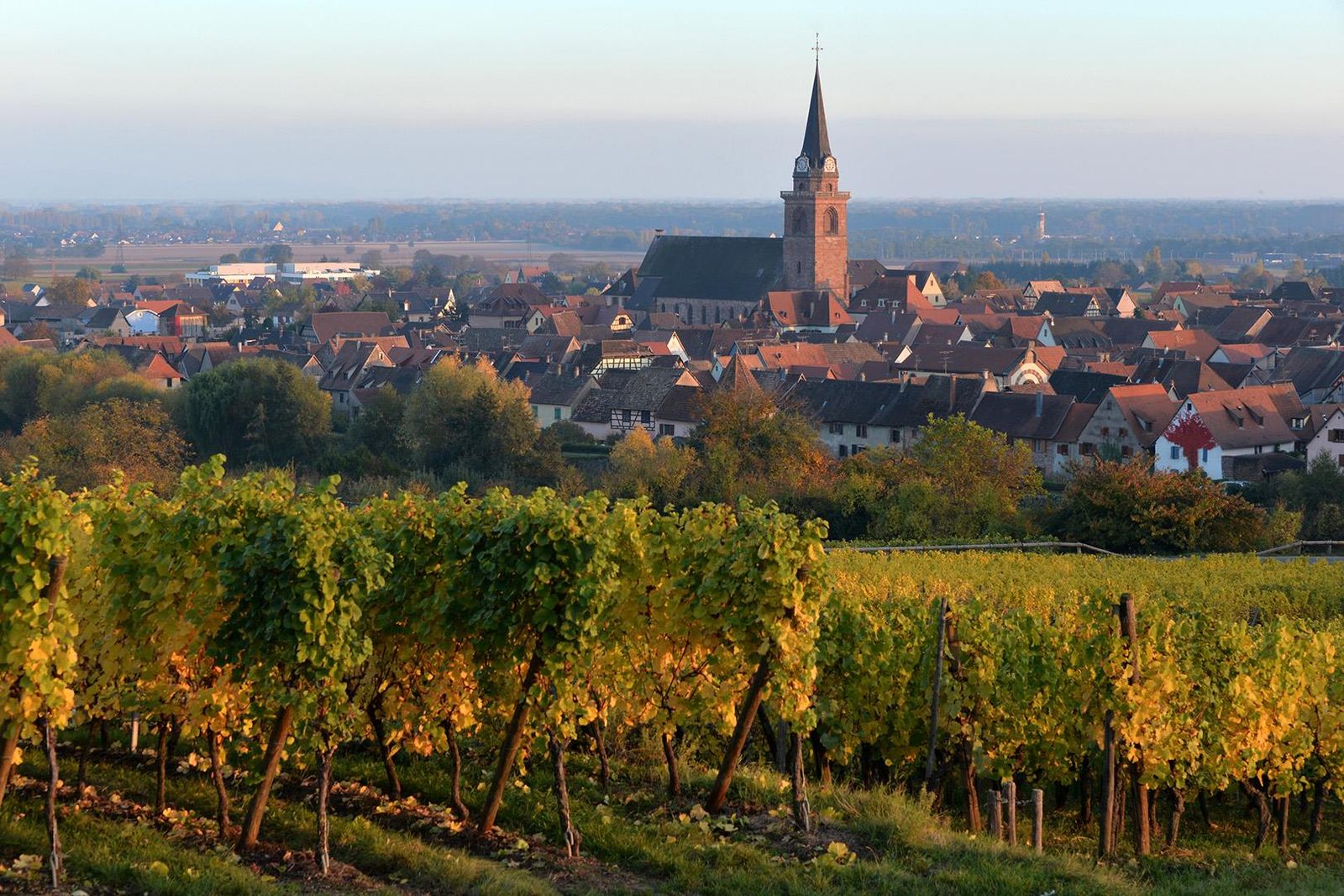Bergheim