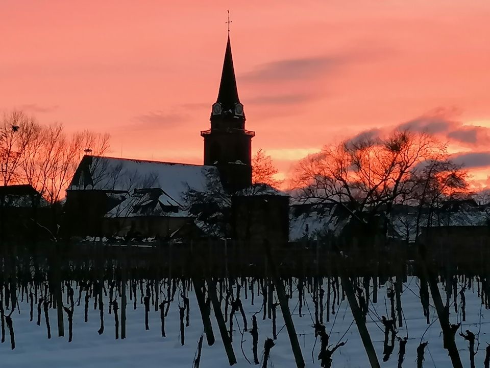 Bergheim