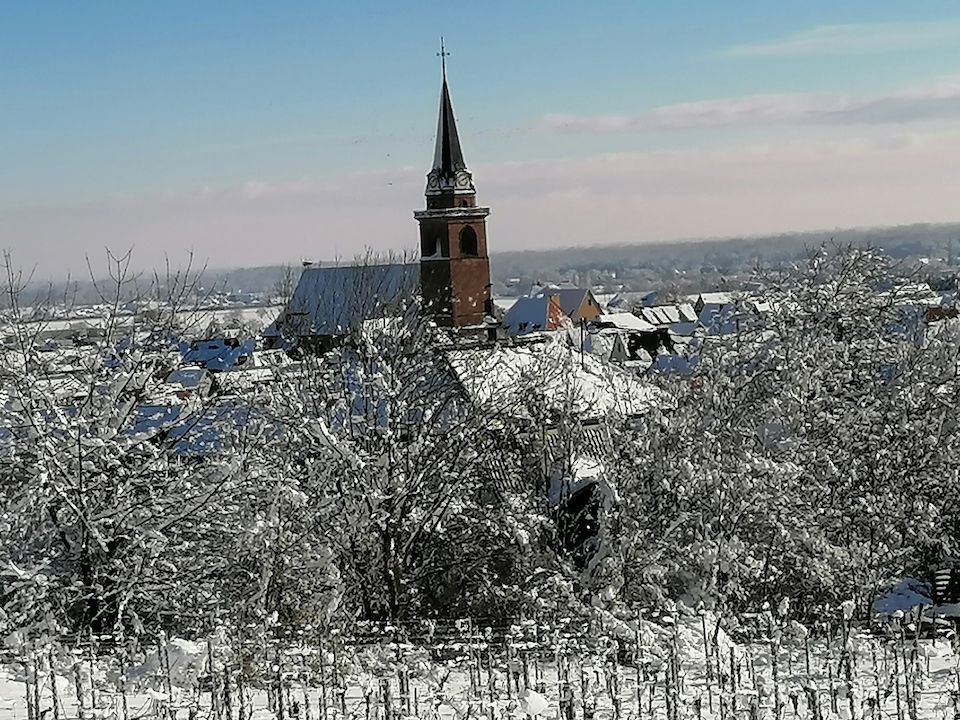 Bergheim