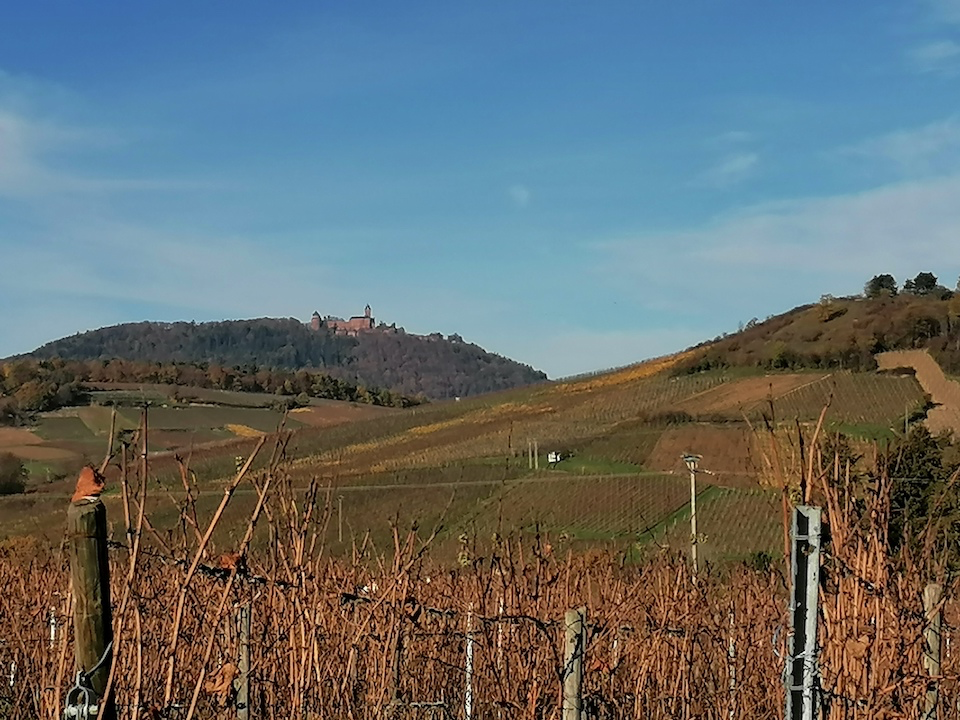 Haut-Koenigsbourg