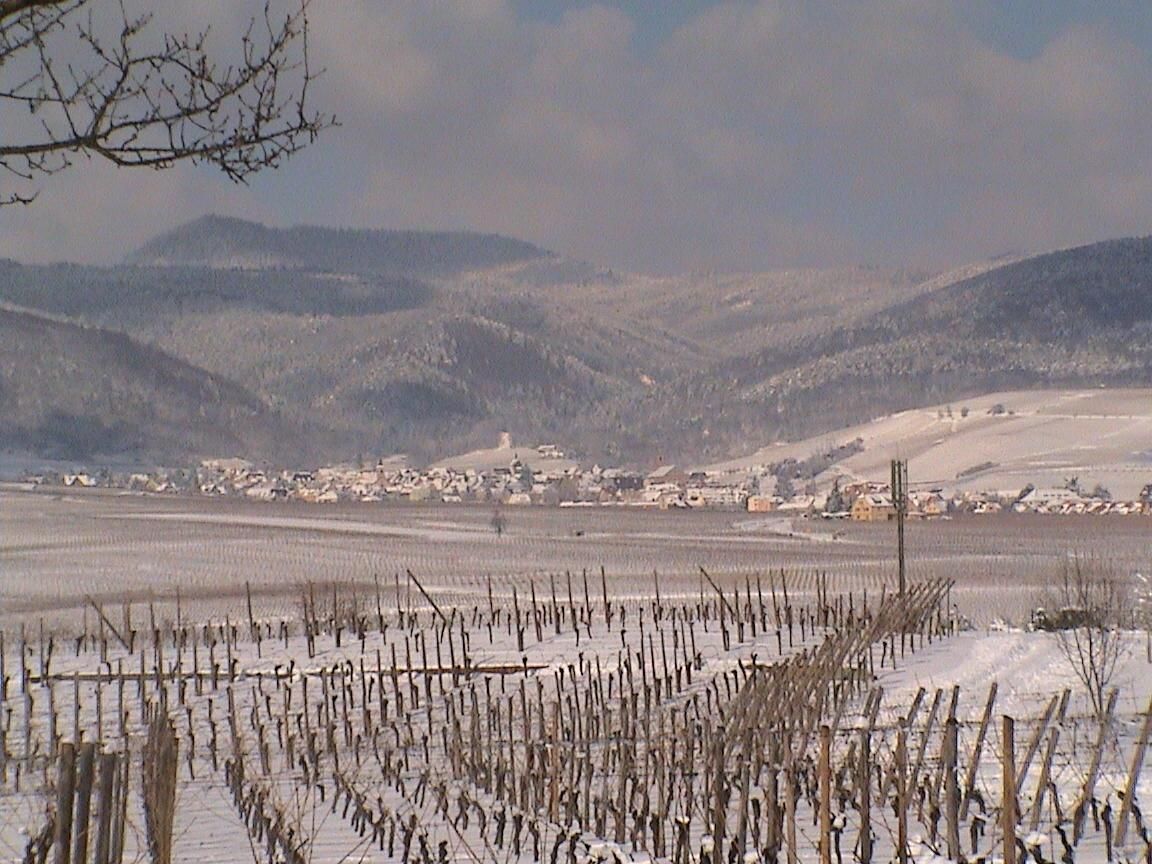Beblenheim sous la neige