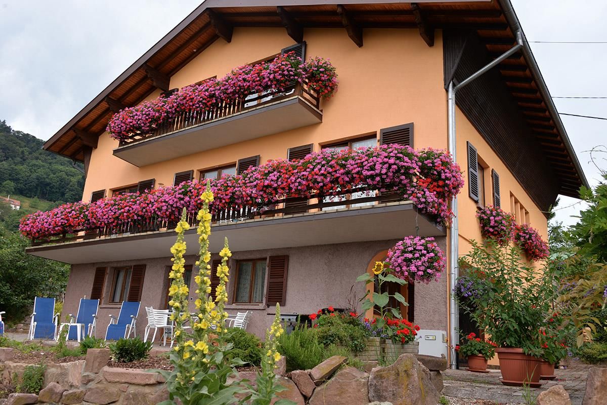 Quetsche d' Alsace: façade de notre maison