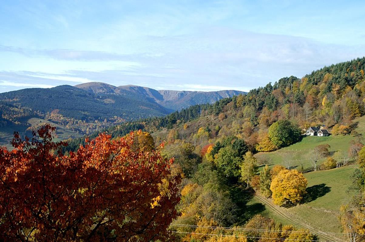 Paysage-montagne-automne