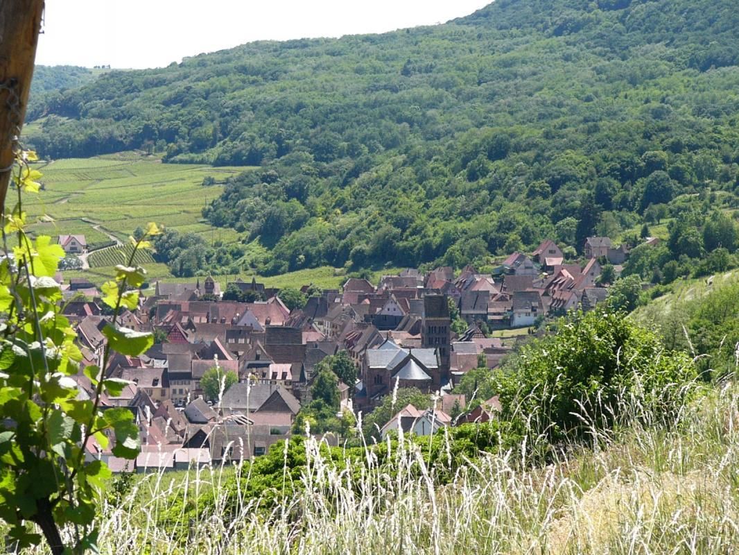 Vue_sur_Gueberschwihr