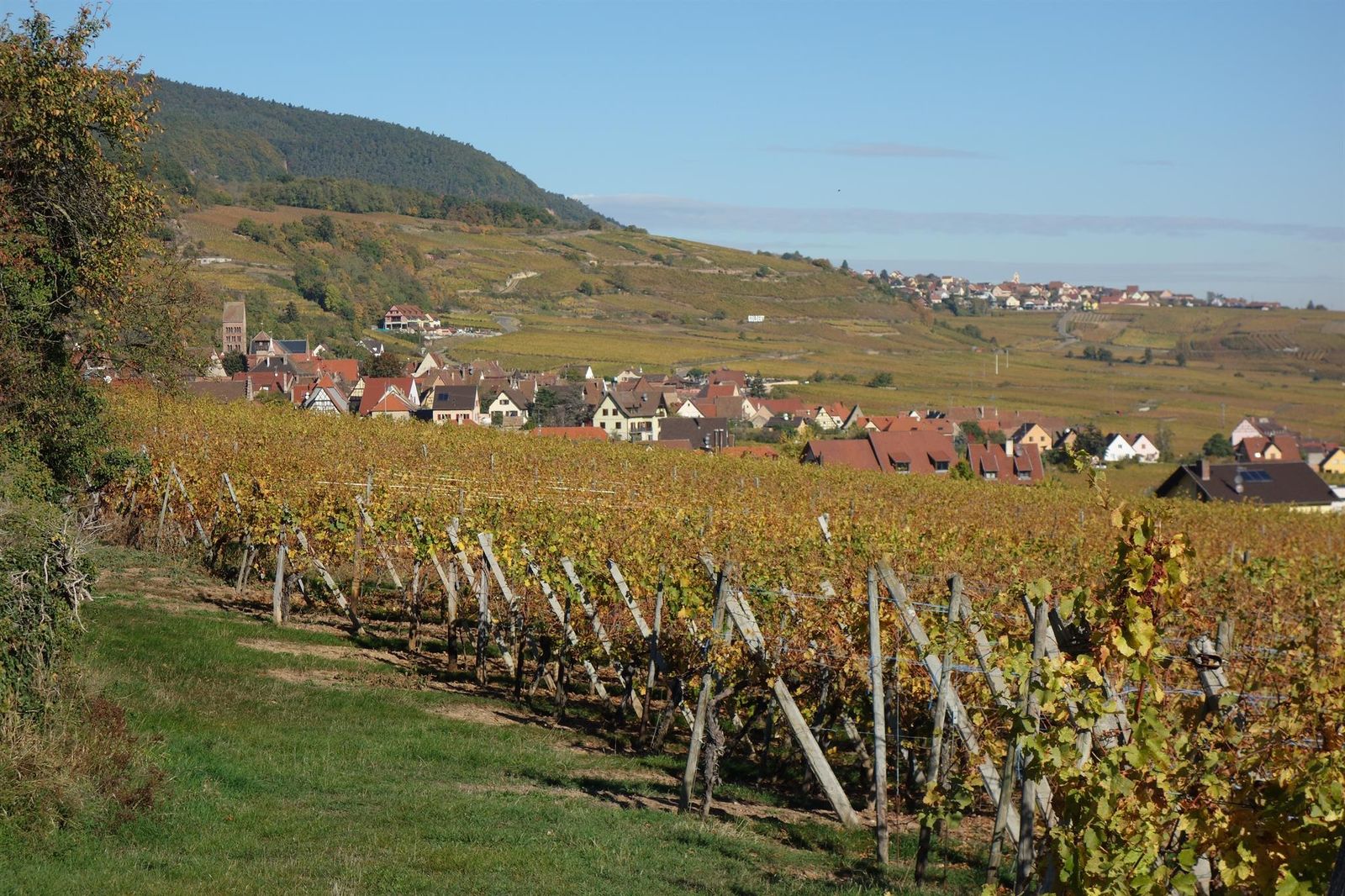 Gueberschwihr_village_pittoresque_en_Alsace