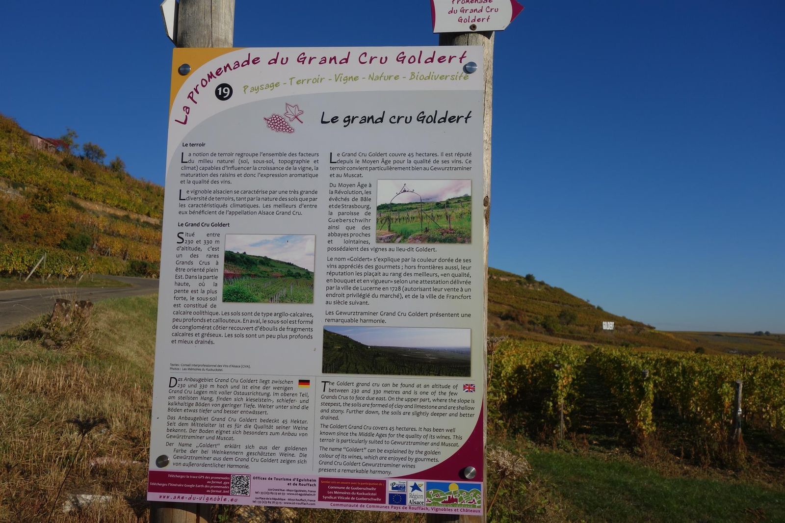 Sentier_viticole_et_de découverte_à_Gueberschwihr