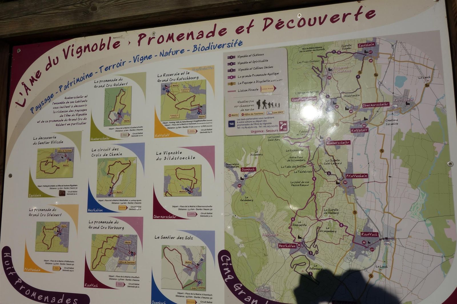 Promenades_a_Gueberschwihr_Alsace_Grand_Est