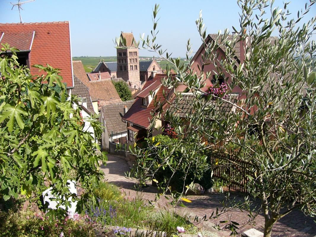 Gîte_de_la_Source_ruelle_pittoresque