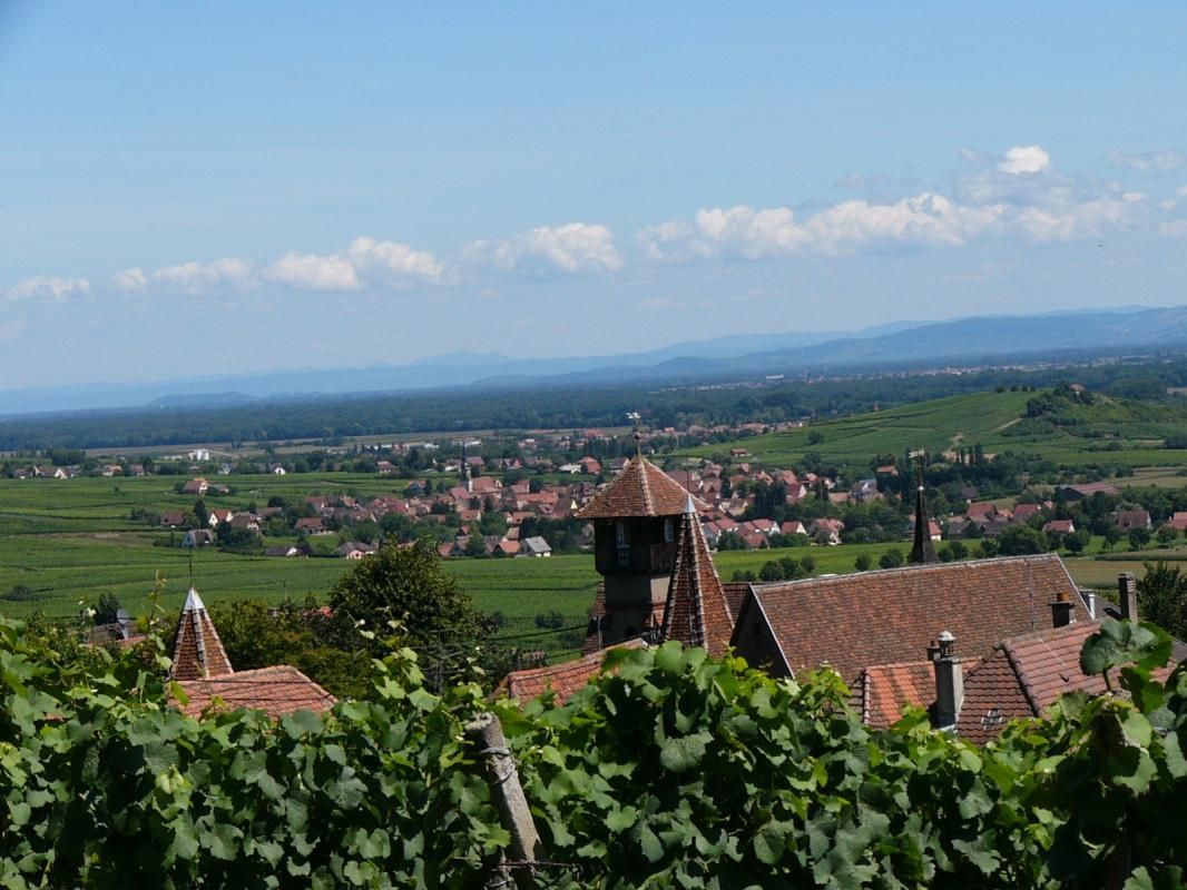 Sentier_au_départ_du_Gîte de la Source