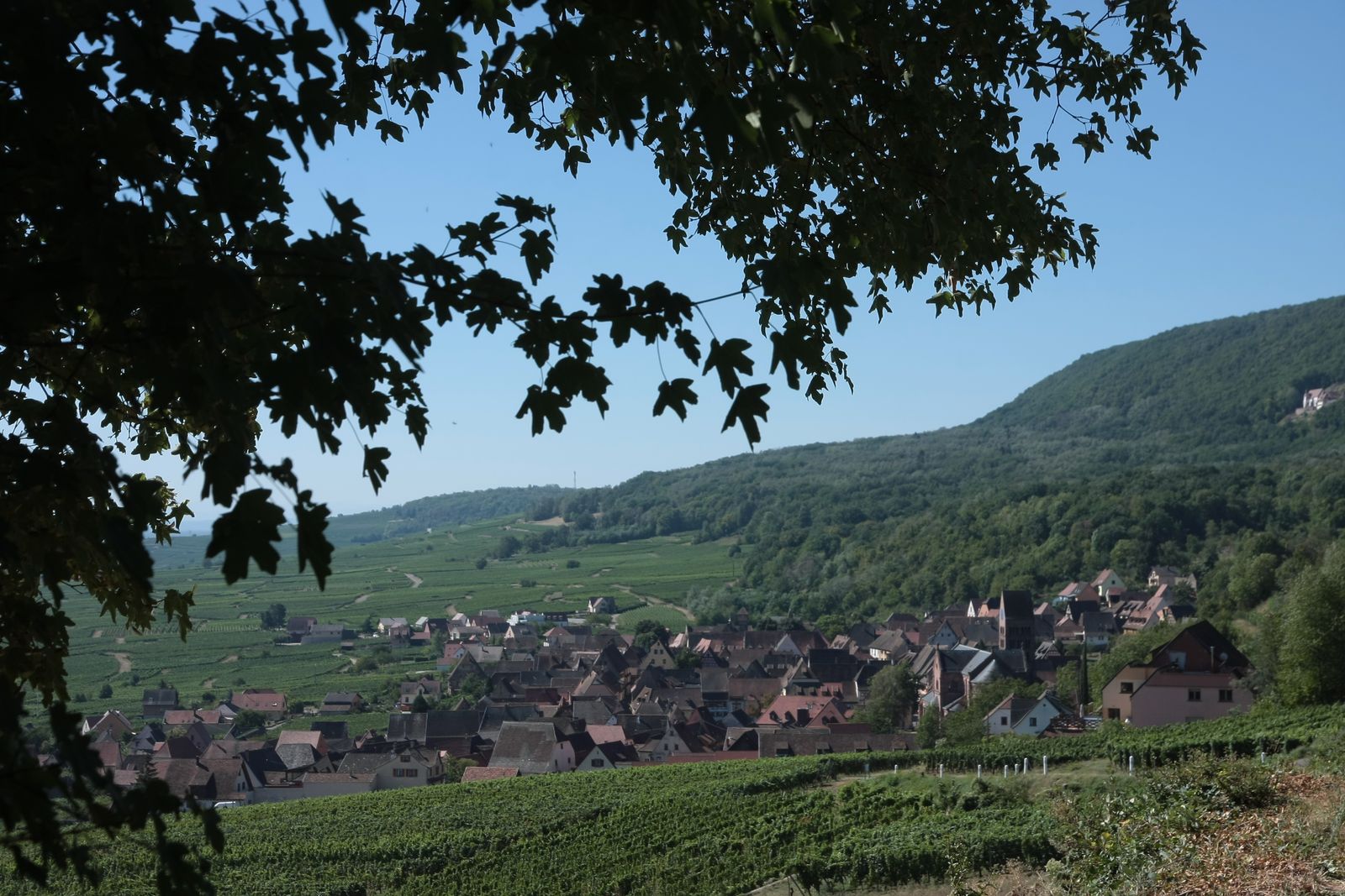 Gueberschwihr_Alsace_France