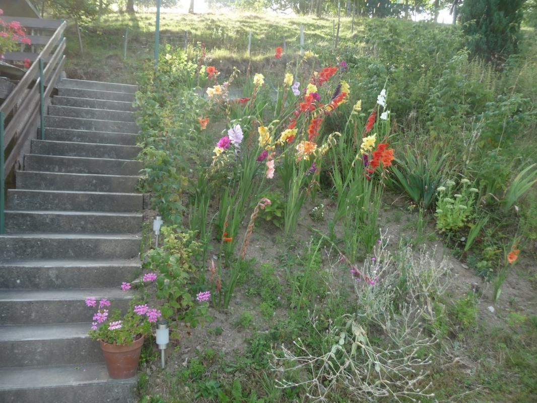 Photo_2