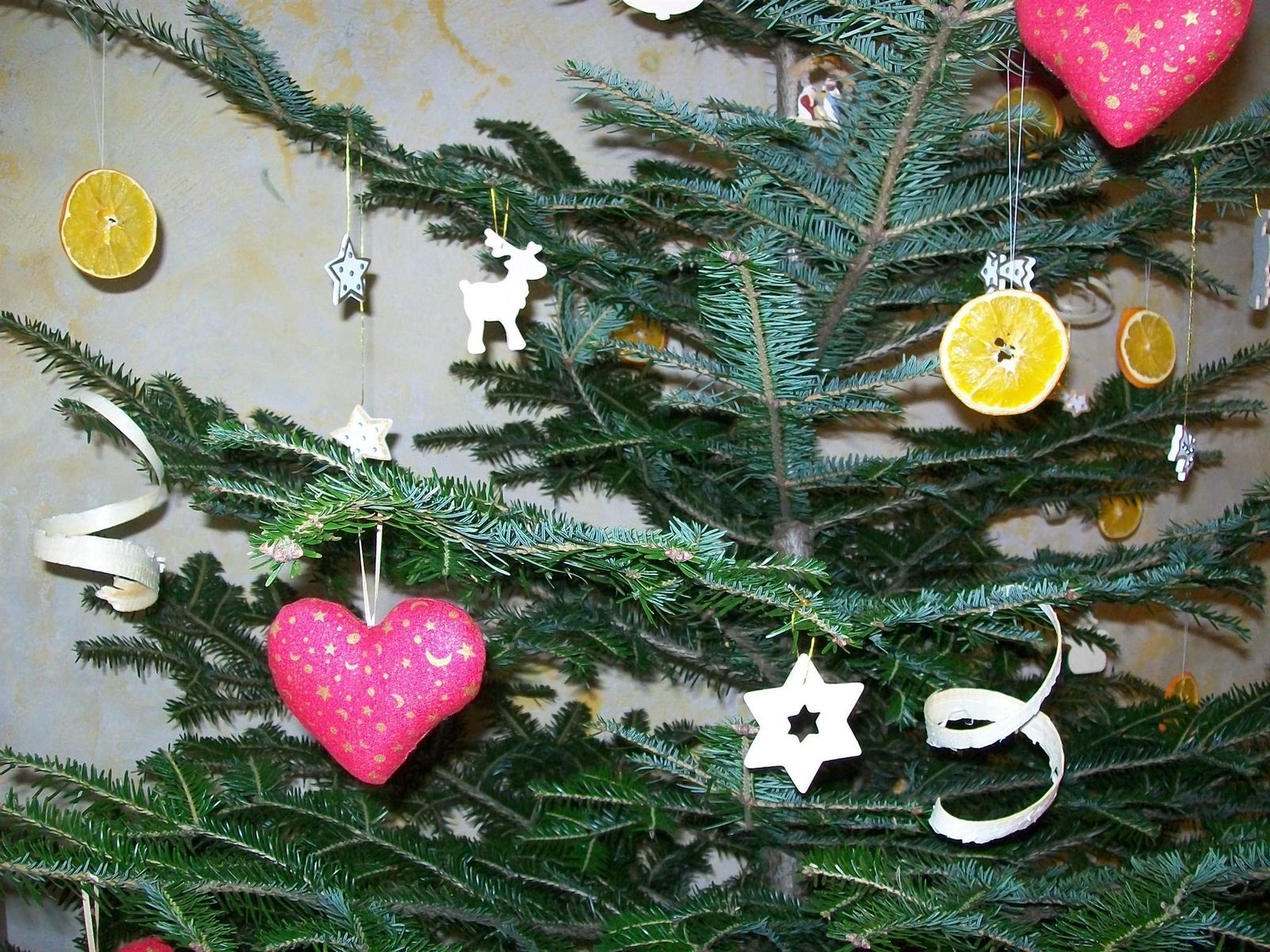 Noël au gîte de Louis