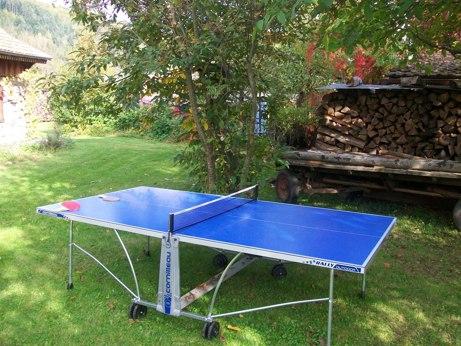 table de ping-pong
