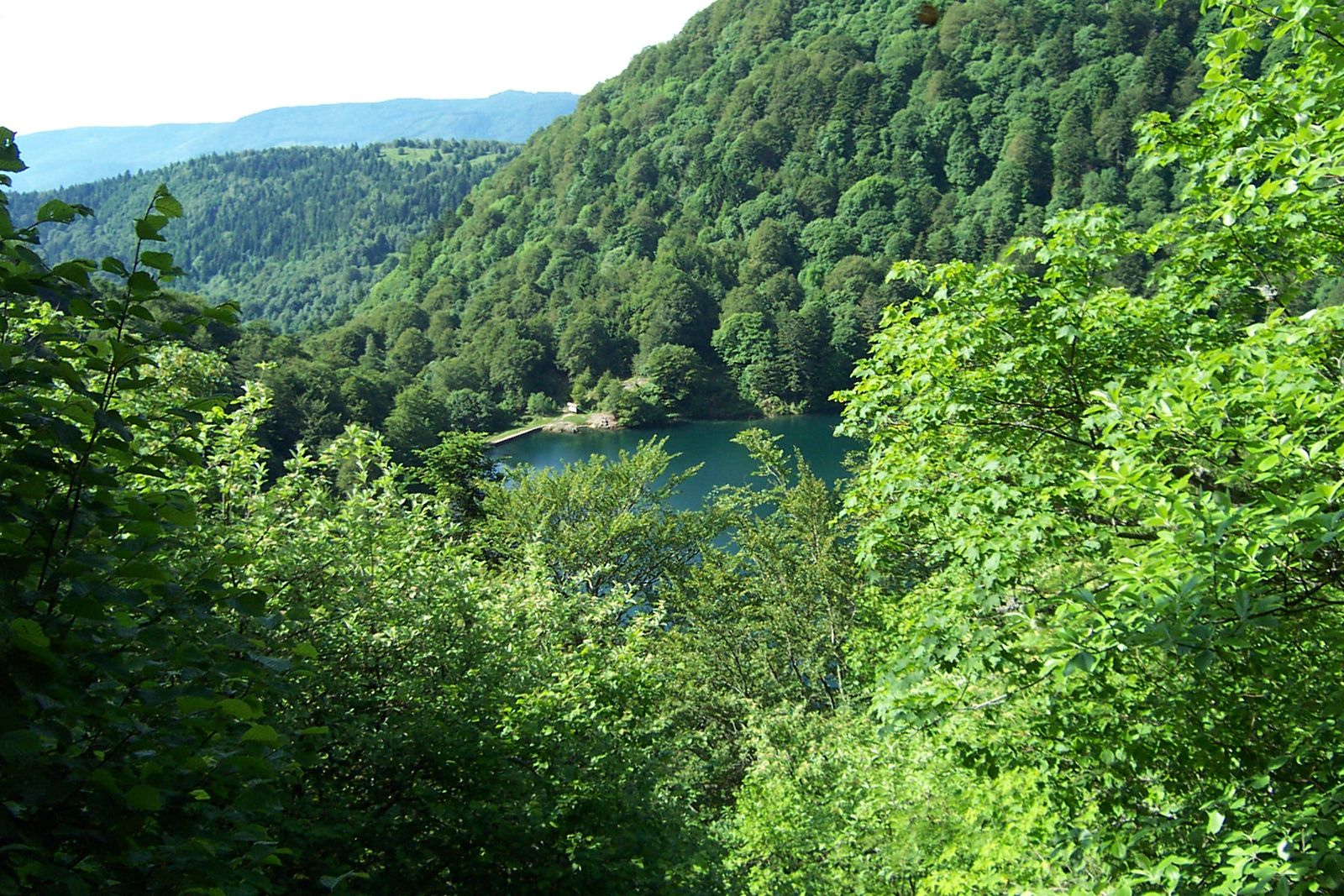le lac des perches