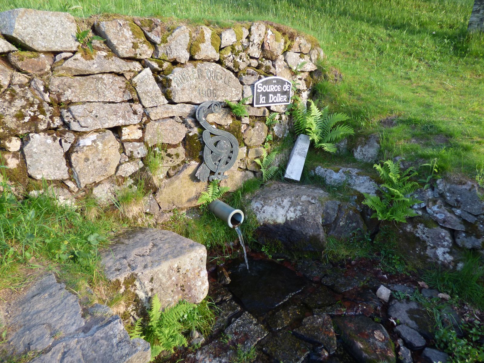 la source de la Doller