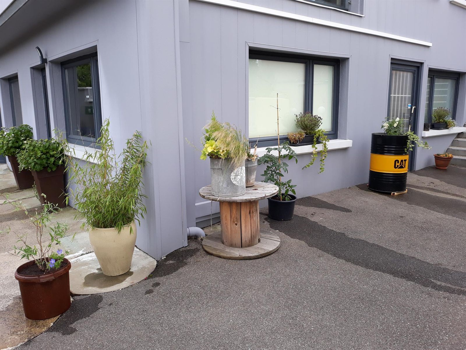 Création du petit jardinet de friche