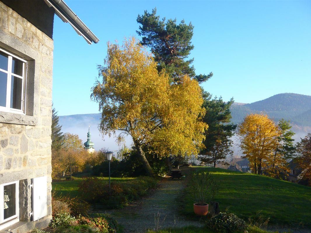 Photo_1