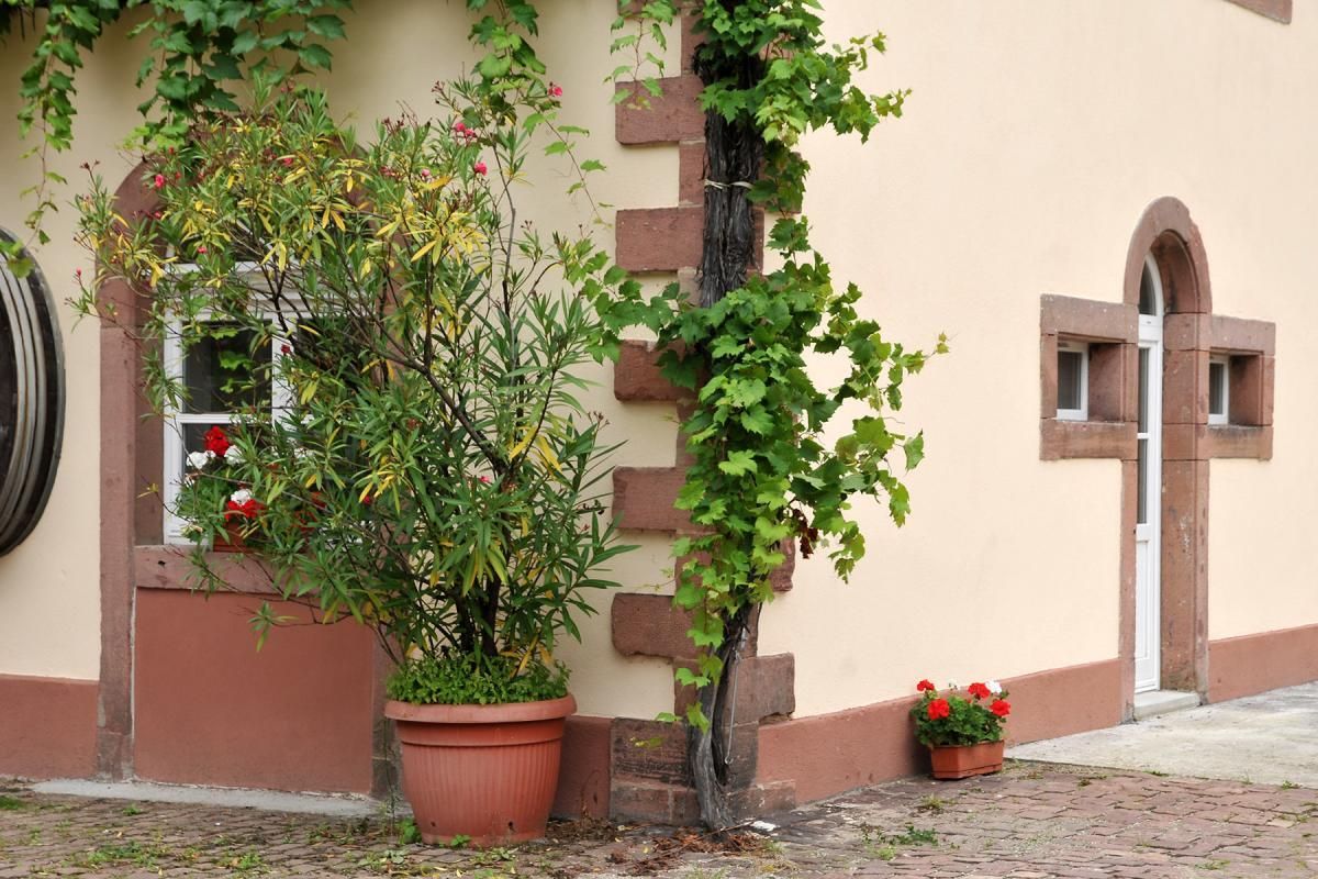 Photo_2
