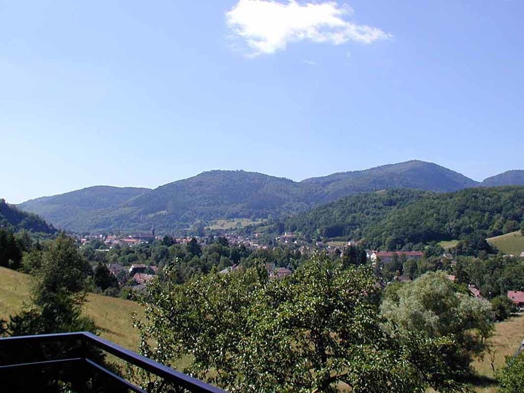 Photo_3