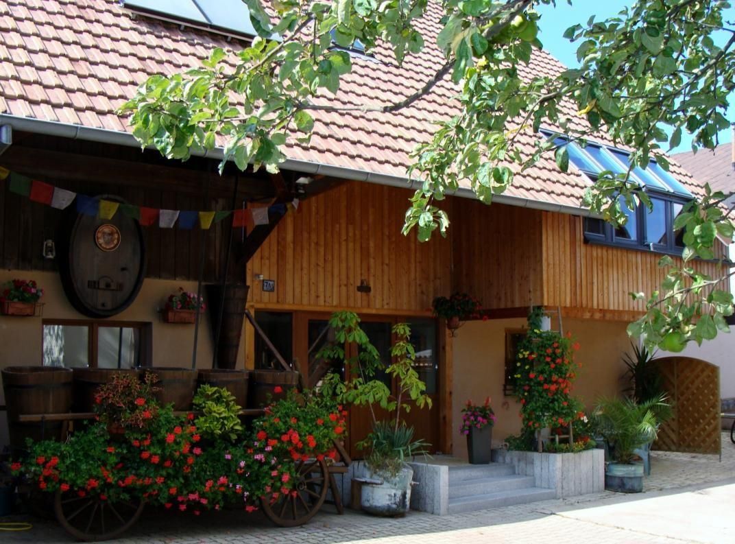 Gîte le nid d'hirondelle