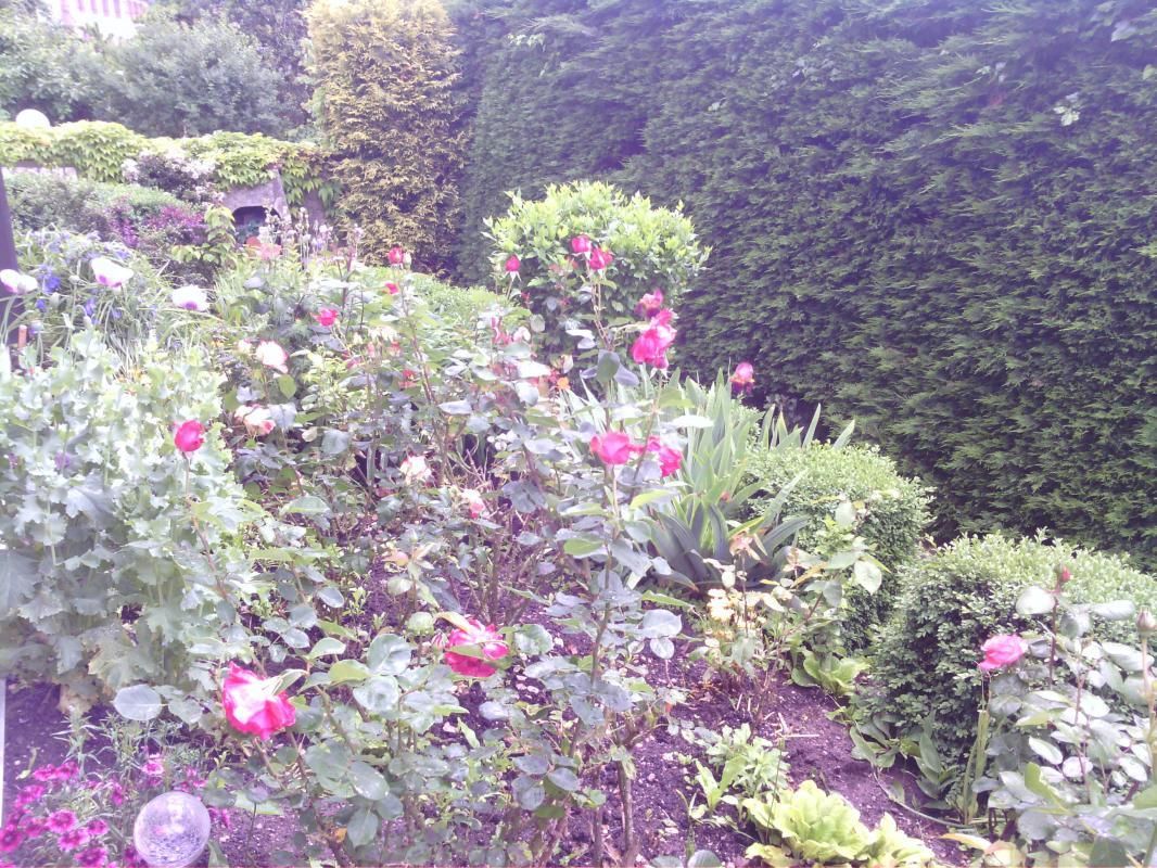 68G1850_parterre