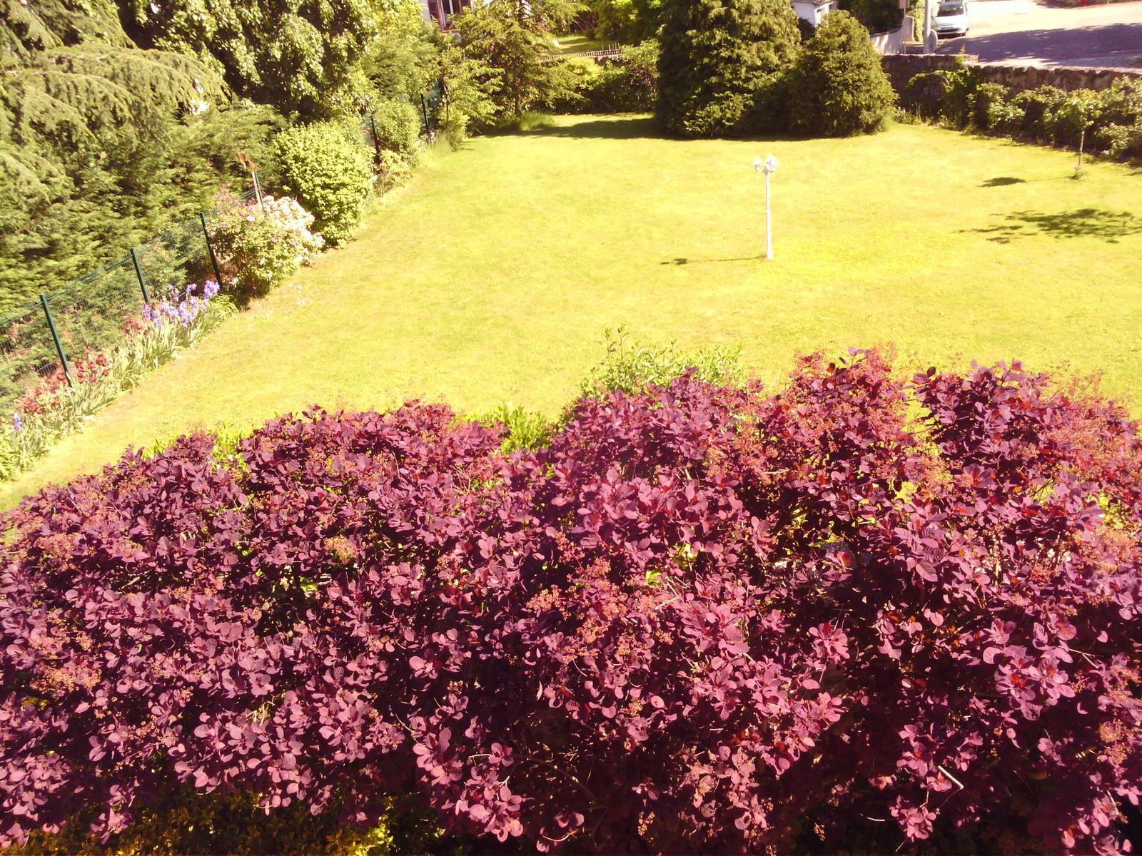 68g1850_buisson