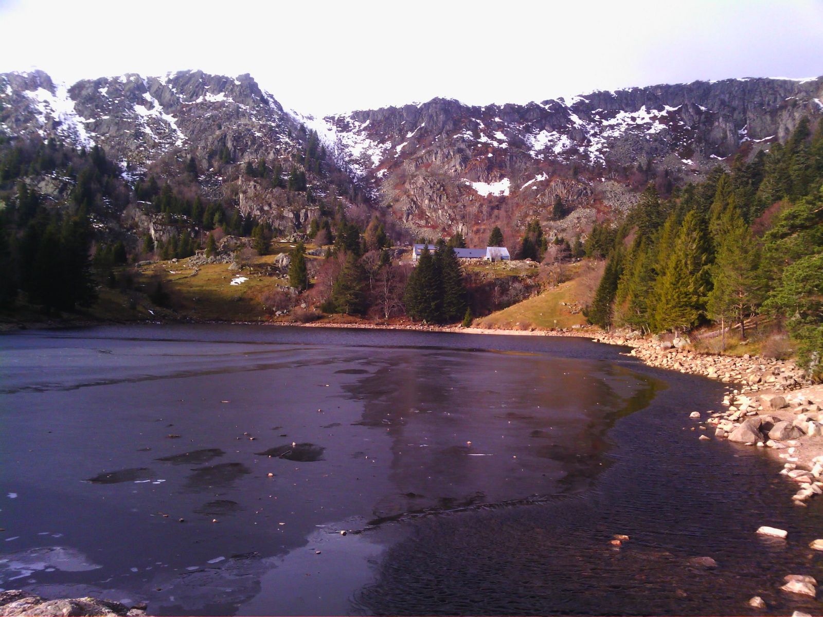 lac gele