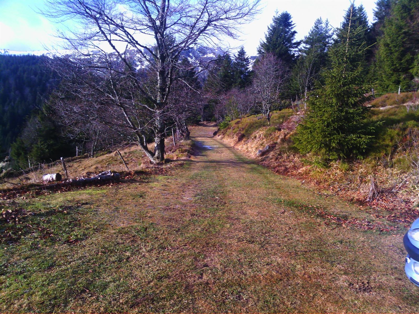 68g1850_chemin