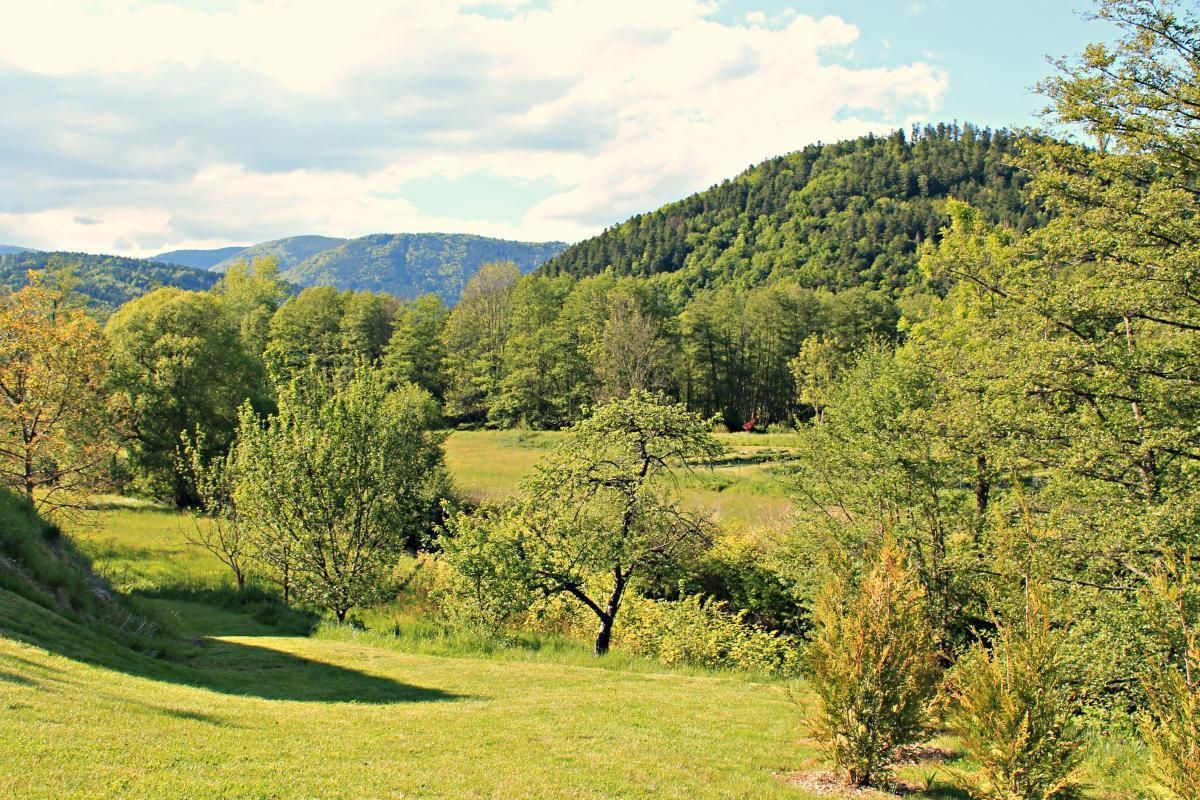 gite Antoine - vue depuis terrasse