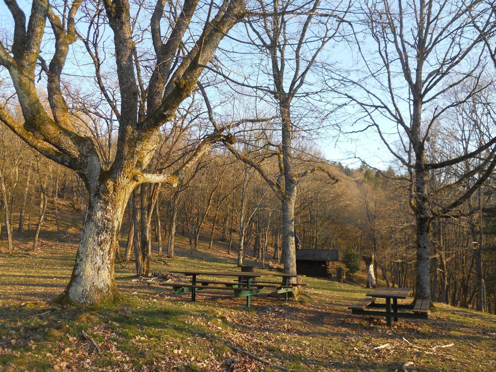 Ranspach
