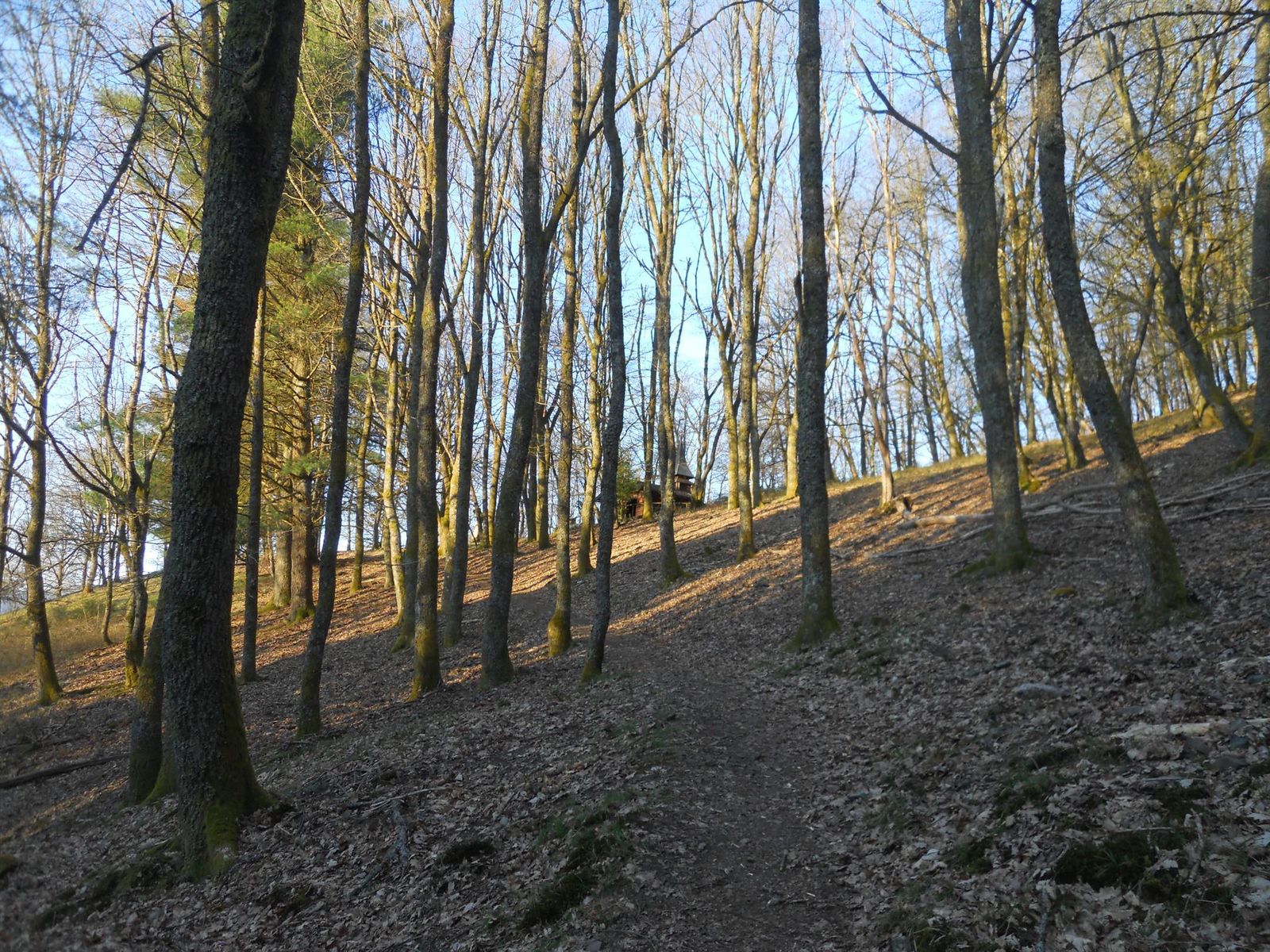 sentier botanique direction la chapelle